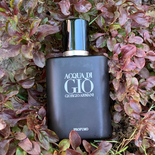 Acqua Di Giorgio Armani Profumo 30ml Perfume