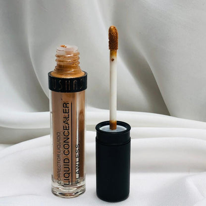 Ushas liquid concealer corrector