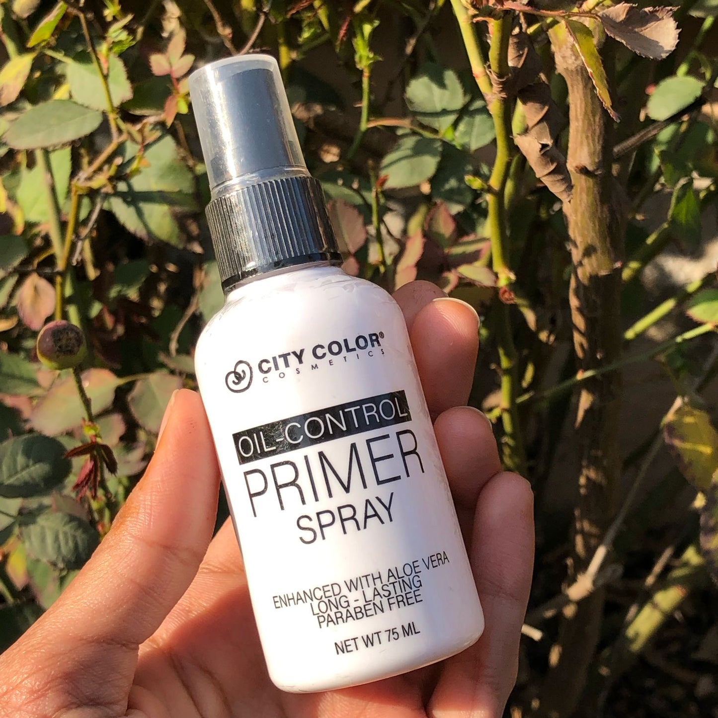 City color primer spray