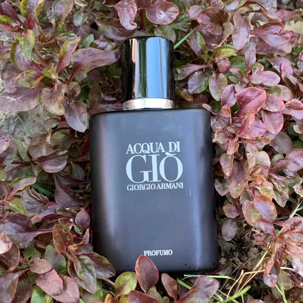 Acqua Di Giorgio Armani Profumo 30ml Perfume - Giorgio Armani