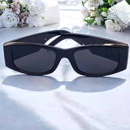 Palm Sunglasses With Leather Case - sunglasses